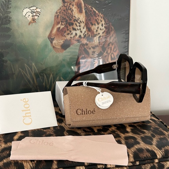 (NEW) CHLOE Authentic Luxury Havana Sunnies - Picture 4 of 6
